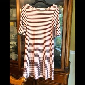 New York & Company Stretch collection